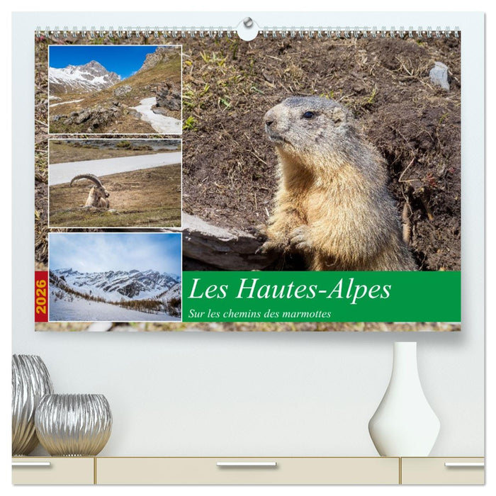 Les Hautes-Alpes sur les chemins des marmottes (CALVENDO Calendrier supérieur 2026)