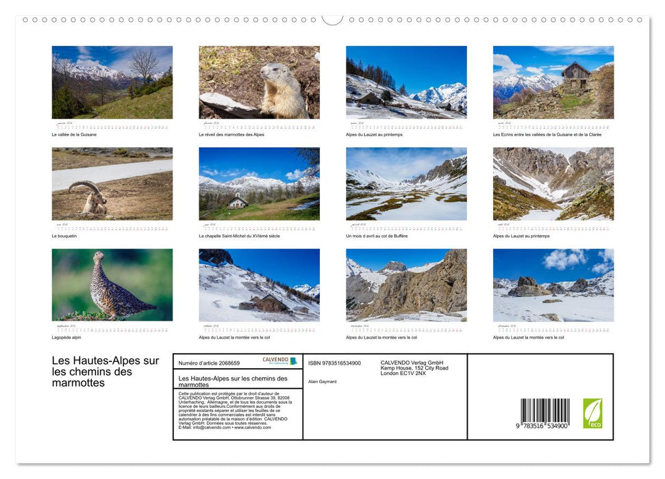 Les Hautes-Alpes sur les chemins des marmottes (CALVENDO Calendrier supérieur 2026)