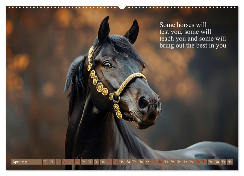 A Horse Makes You Complete (CALVENDO Monthly Calendar 2026)