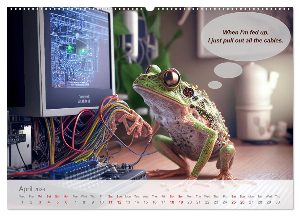 You really think you are an IT expert (CALVENDO Premium-Calendar 2026)