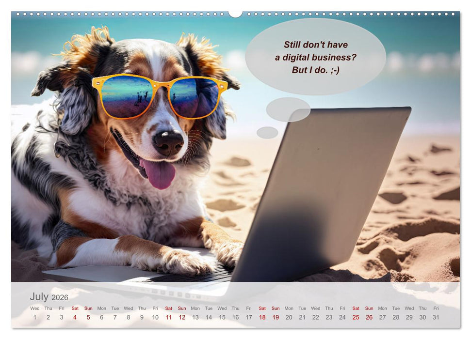 You really think you are an IT expert (CALVENDO Premium-Calendar 2026)