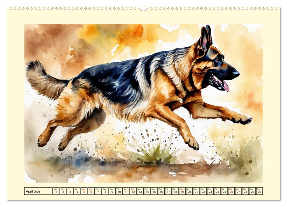 German Shepherds - classics around the globe (CALVENDO Monthly Calendar 2026)