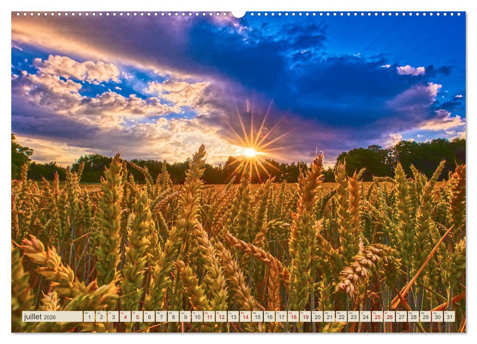 L'Allemagne, tes paysages (CALVENDO Calendrier supérieur 2026)