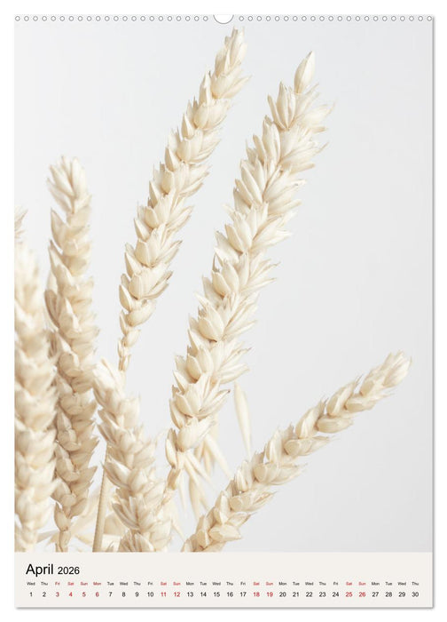 Dried Flowers (CALVENDO Monthly Calendar 2026)