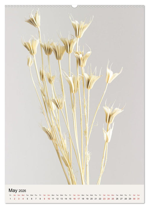 Dried Flowers (CALVENDO Monthly Calendar 2026)