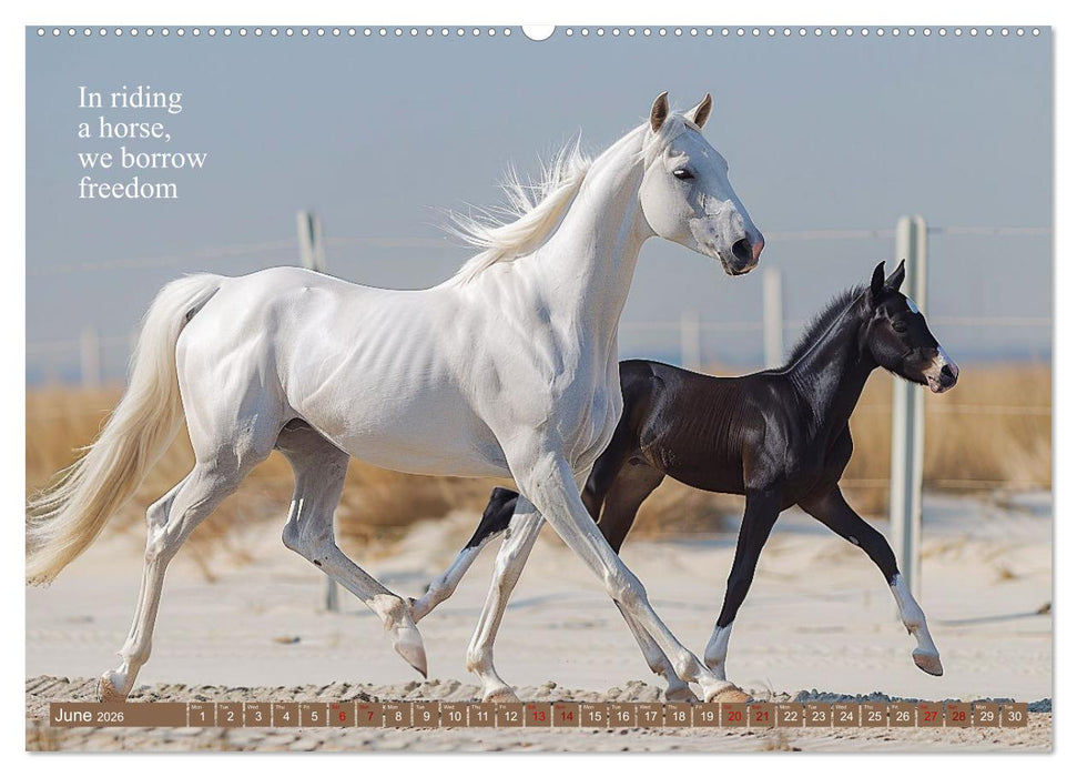 A Horse Makes You Complete (CALVENDO Premium-Calendar 2026)