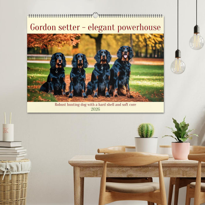 Gordon Setter - elegant powerhouse (CALVENDO Monthly Calendar 2026)