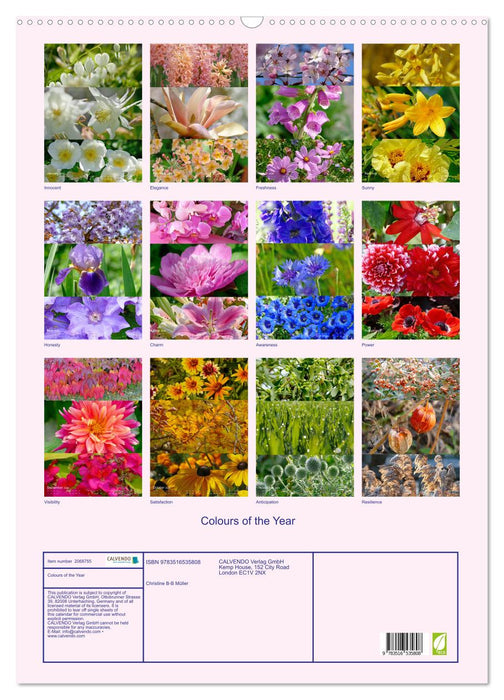 Colours of the Year (CALVENDO Monthly Calendar 2026)