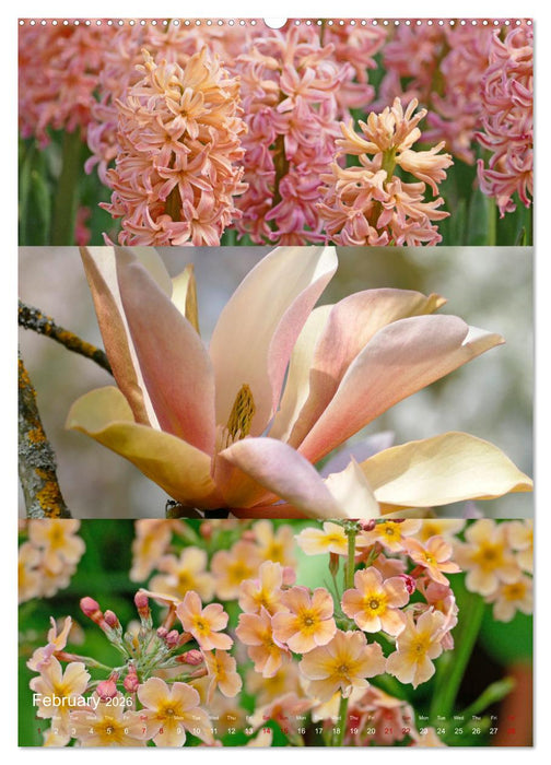 Colours of the Year (CALVENDO Monthly Calendar 2026)