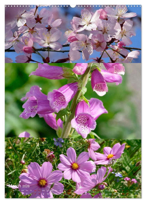 Colours of the Year (CALVENDO Monthly Calendar 2026)