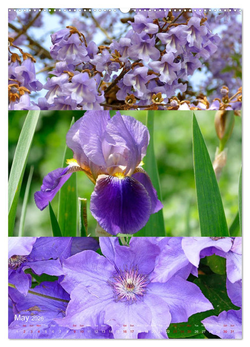 Colours of the Year (CALVENDO Monthly Calendar 2026)