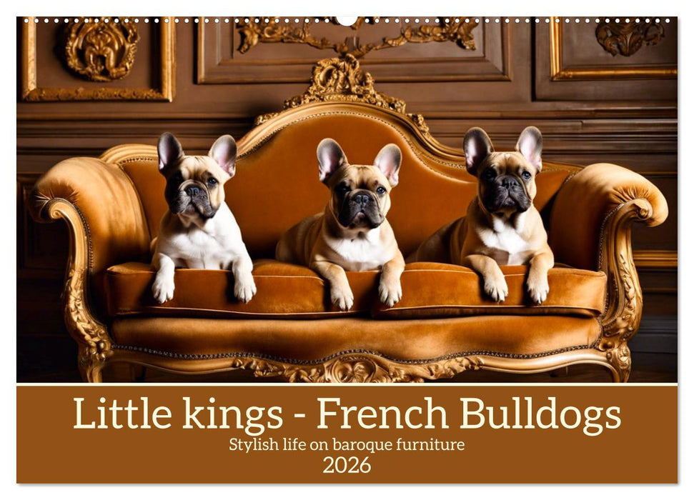Little kings - French Bulldogs (CALVENDO Monthly Calendar 2026)