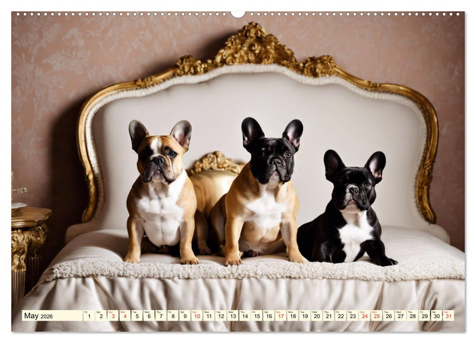 Little kings - French Bulldogs (CALVENDO Monthly Calendar 2026)