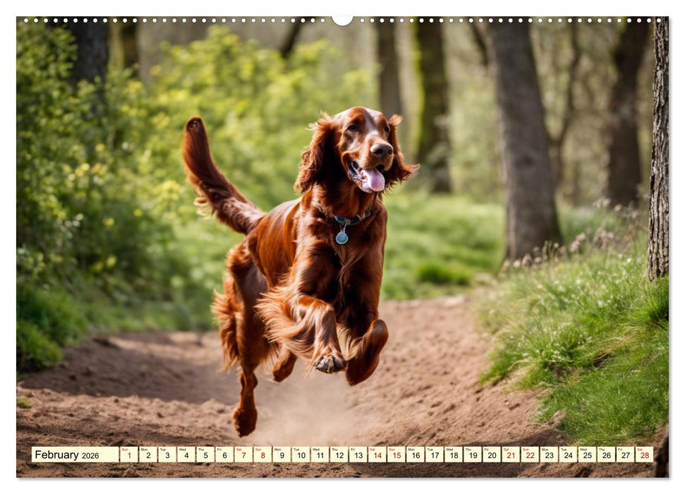 Irish Setter - pure grace (CALVENDO Monthly Calendar 2026)