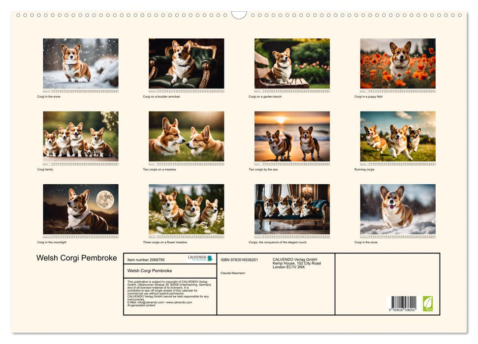 Welsh Corgi Pembroke (CALVENDO Monthly Calendar 2026)