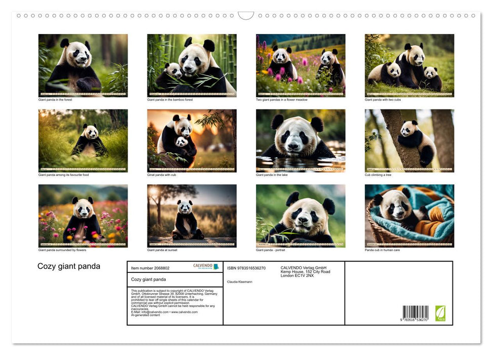 Cozy giant panda (CALVENDO Monthly Calendar 2026)