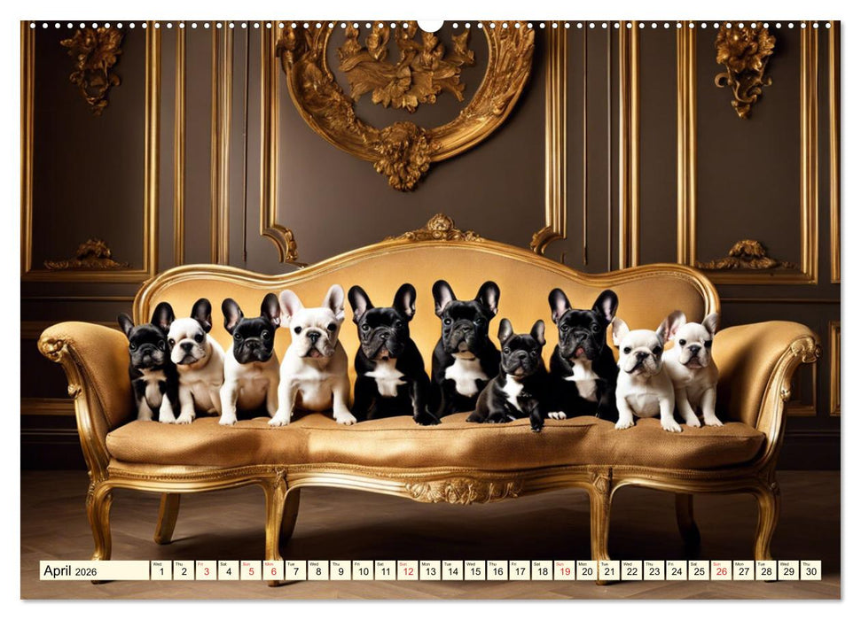 Little kings - French Bulldogs (CALVENDO Premium-Calendar 2026)
