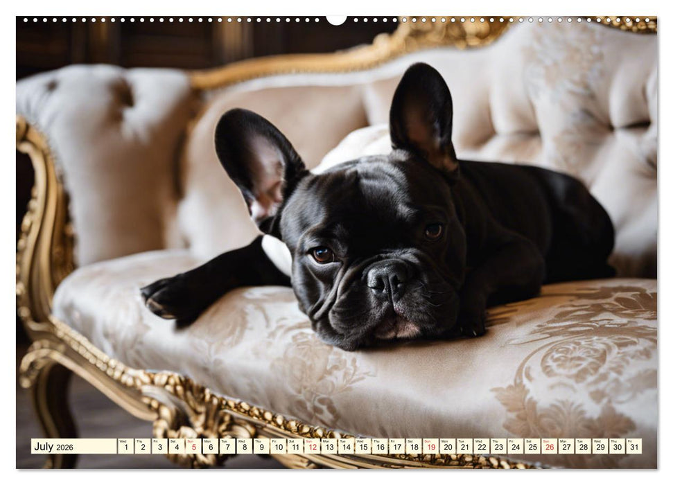 Little kings - French Bulldogs (CALVENDO Premium-Calendar 2026)