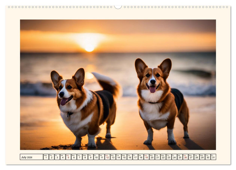 Welsh Corgi Pembroke (CALVENDO Premium-Calendar 2026)