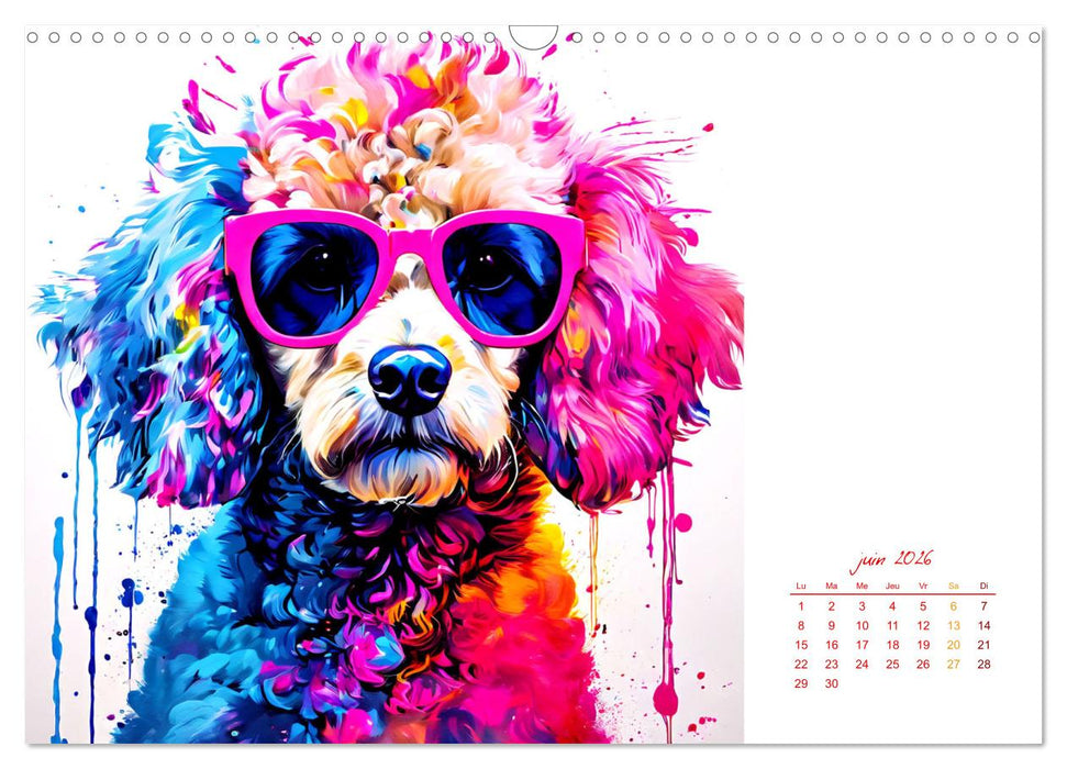 Show canin (CALVENDO Calendrier mensuel 2026)