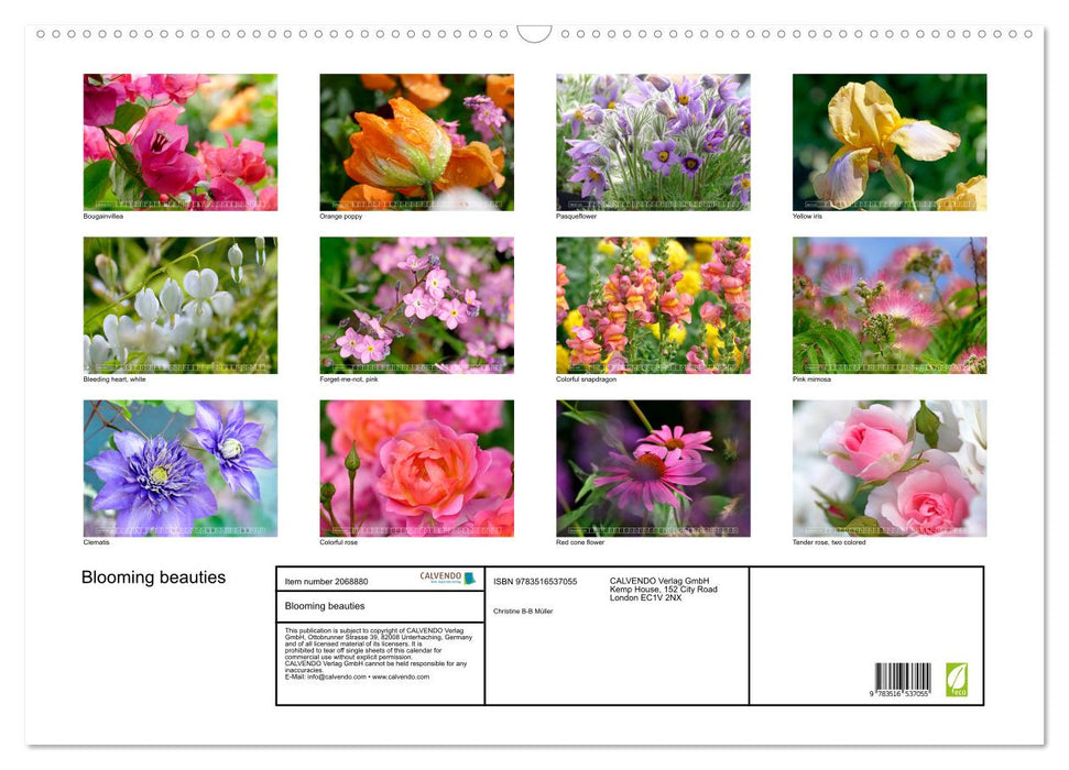Blooming beauties (CALVENDO Monthly Calendar 2026)