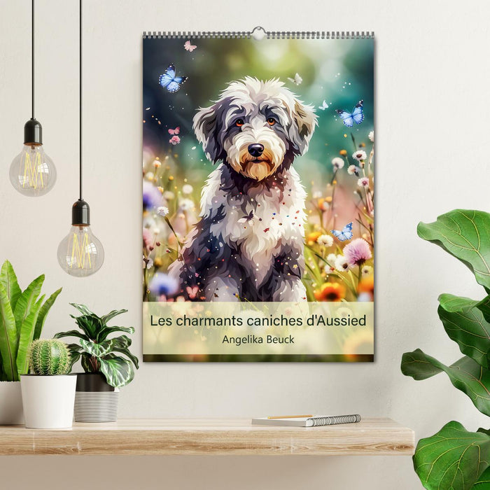 Les charmants caniches d'Aussied - Angelika Beuck (CALVENDO Calendrier mensuel 2026)