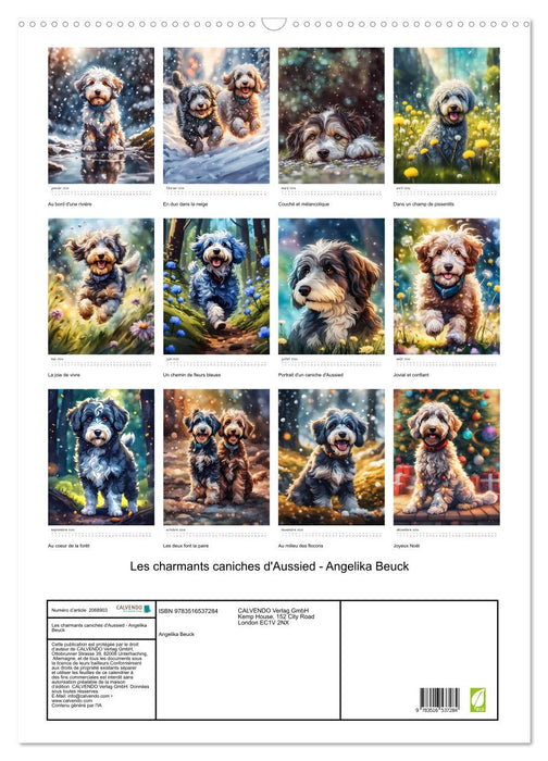 Les charmants caniches d'Aussied - Angelika Beuck (CALVENDO Calendrier mensuel 2026)
