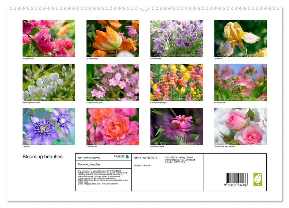 Blooming beauties (CALVENDO Premium-Calendar 2026)