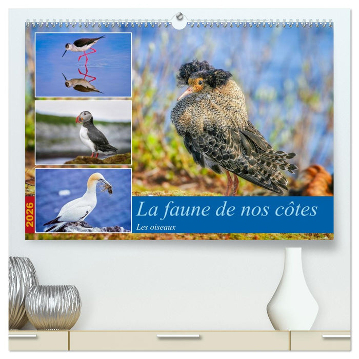 La faune de nos côtes les oiseaux (CALVENDO Calendrier supérieur 2026)