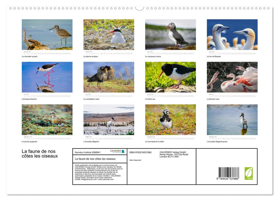 La faune de nos côtes les oiseaux (CALVENDO Calendrier supérieur 2026)