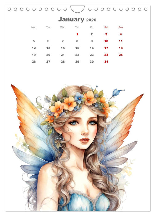 The fairies (CALVENDO Monthly Calendar 2026)