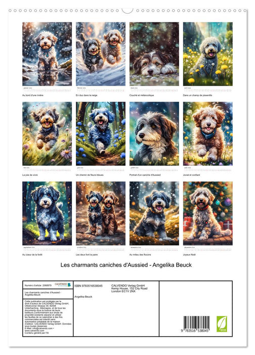 Les charmants caniches d'Aussied - Angelika Beuck (CALVENDO Calendrier supérieur 2026)