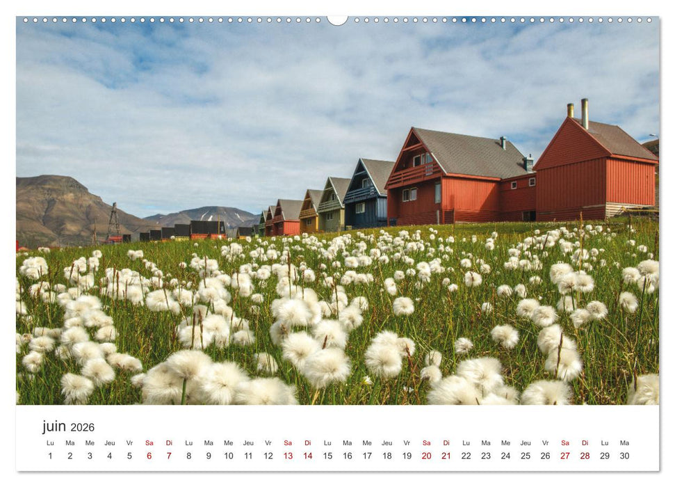 L'été sur les îles Svalbard (CALVENDO Calendrier supérieur 2026)