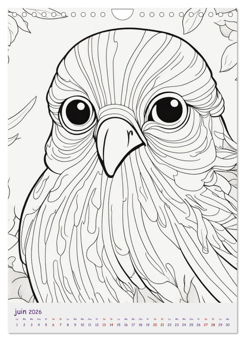 Calendrier à colorier (CALVENDO Calendrier mensuel 2026)