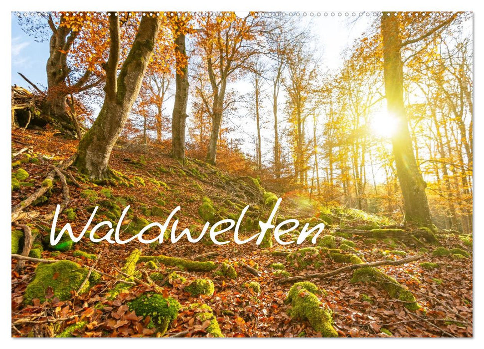Waldwelten (CALVENDO Wandkalender 2026)