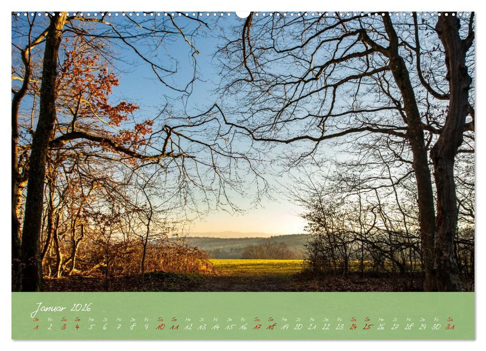 Waldwelten (CALVENDO Wandkalender 2026)