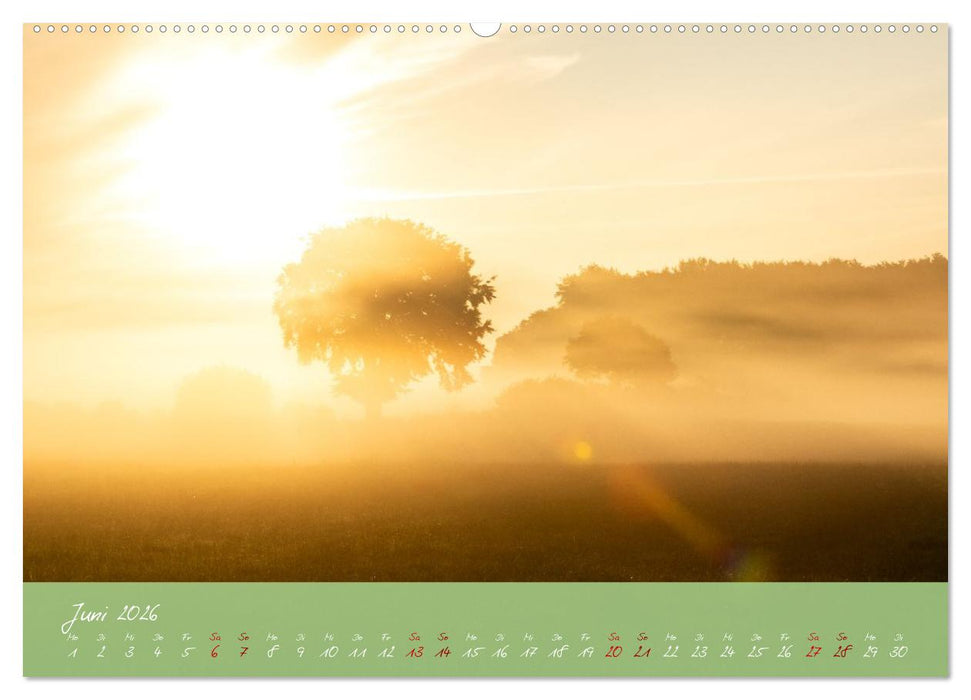 Waldwelten (CALVENDO Wandkalender 2026)