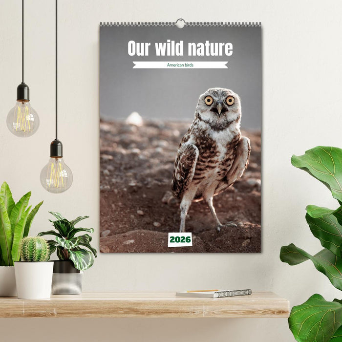 Our wild nature, American birds (CALVENDO Monthly Calendar 2026)