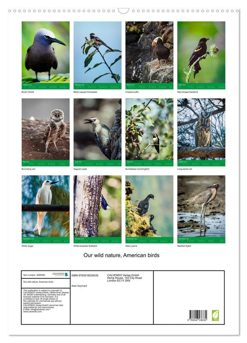 Our wild nature, American birds (CALVENDO Monthly Calendar 2026)