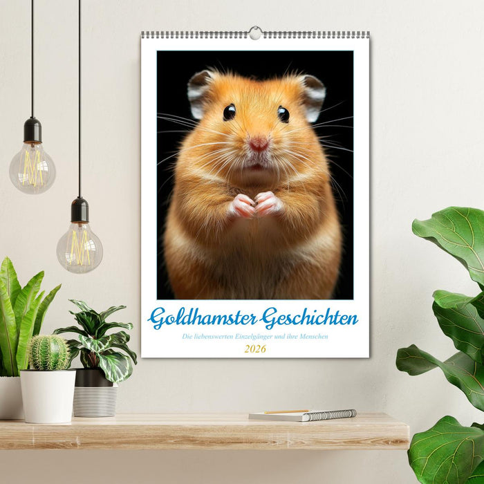 Goldhamster Geschichten (CALVENDO Wandkalender 2026)