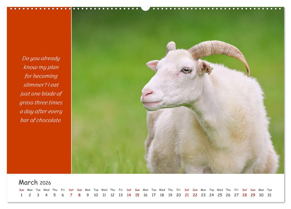 Animals like humour (CALVENDO Monthly Calendar 2026)