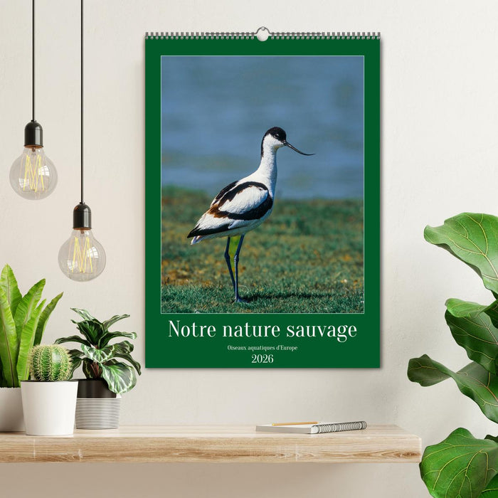 Notre nature sauvage, oiseaux aquatiques d'Europe (CALVENDO Calendrier mensuel 2026)