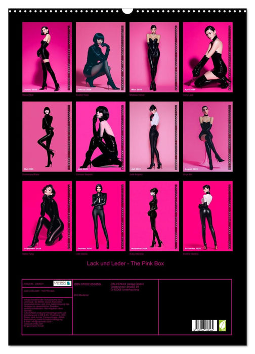Lack und Leder - The Pink Box (CALVENDO Wandkalender 2026)