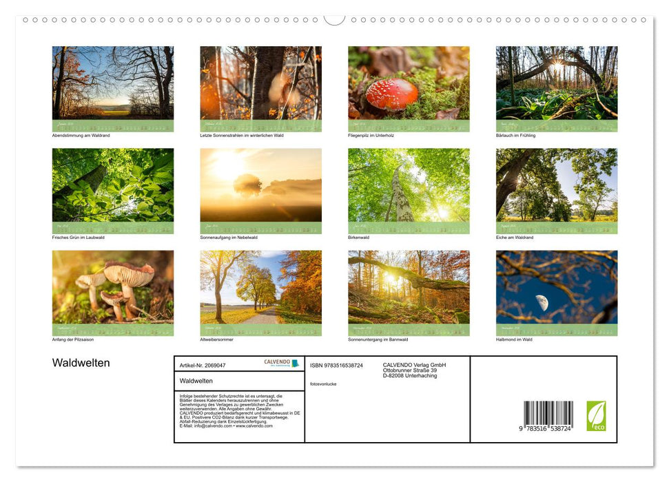 Waldwelten (CALVENDO Premium Wandkalender 2026)