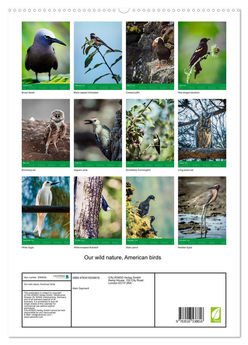 Our wild nature, American birds (CALVENDO Premium-Calendar 2026)