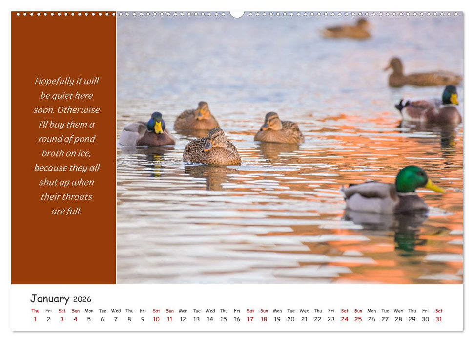 Animals like humour (CALVENDO Premium-Calendar 2026)