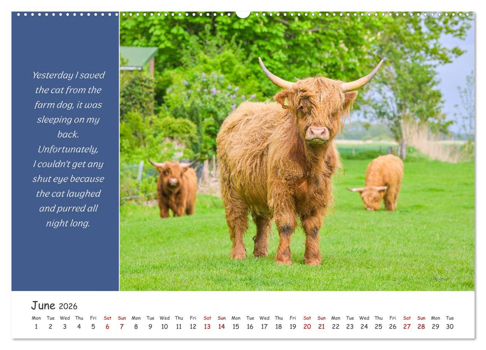Animals like humour (CALVENDO Premium-Calendar 2026)