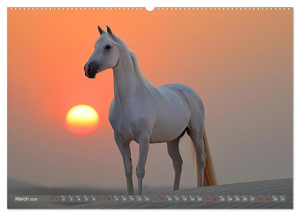 White Horses in Splendor (CALVENDO Monthly Calendar 2026)
