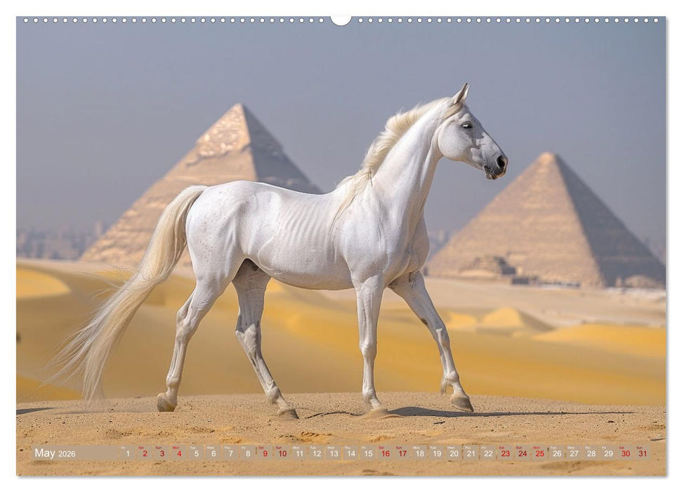 White Horses in Splendor (CALVENDO Monthly Calendar 2026)