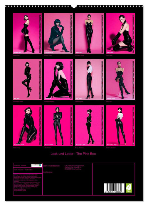 Lack und Leder - The Pink Box (CALVENDO Premium Wandkalender 2026)